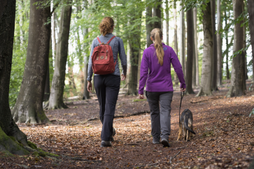 Zwei Frauen gehen mit einem Hund im Wald wandern.