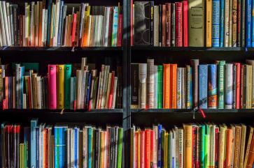 Das Bild zeigt ein Bücherregal mit vielen bunten Büchern